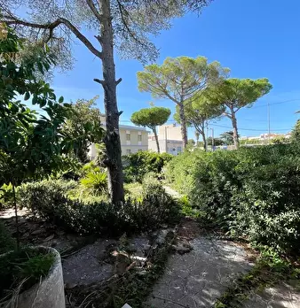 Foto annuncio 22