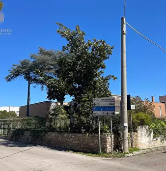 Foto annuncio 30