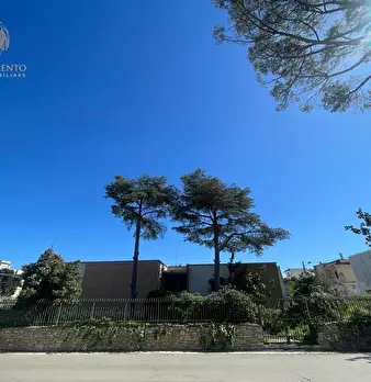 Foto annuncio 41