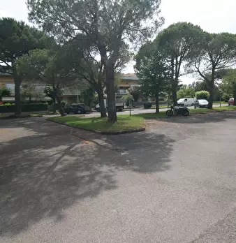 Foto annuncio 9