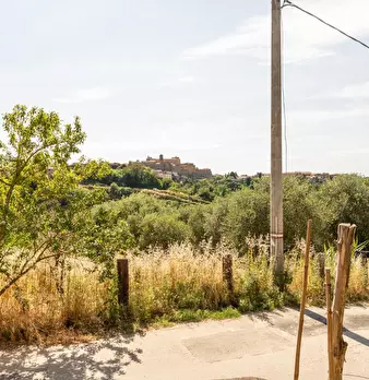 Foto annuncio 34