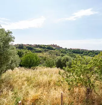 Foto annuncio 36