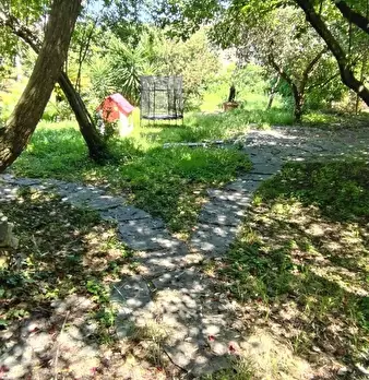 Foto annuncio 9