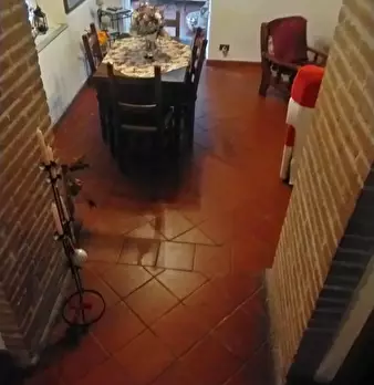 Foto annuncio 25