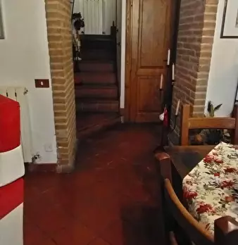 Foto annuncio 19