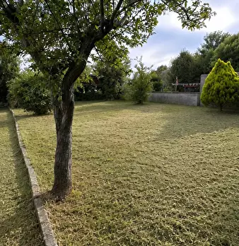 Foto annuncio 18