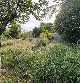 Foto annuncio 19