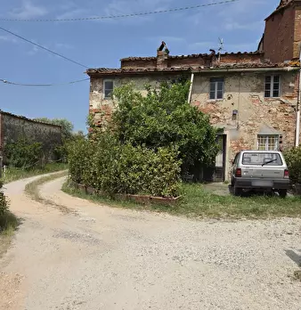 Foto annuncio 12