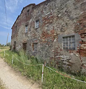 Foto annuncio 11