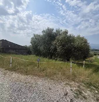 Foto annuncio 2