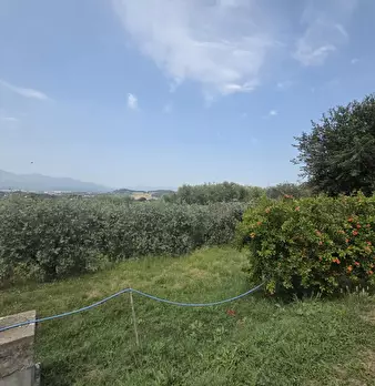 Foto annuncio 3