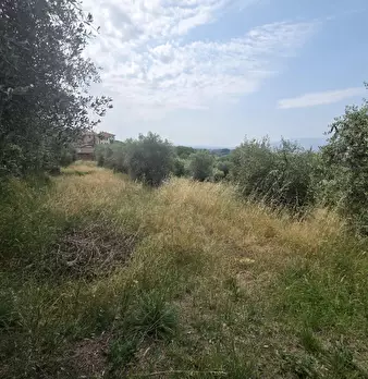 Foto annuncio 4