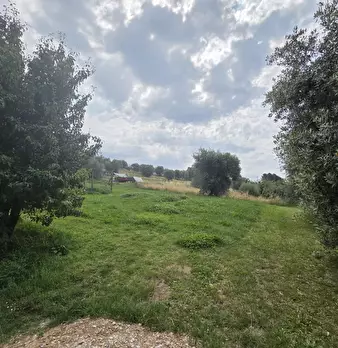 Foto annuncio 14