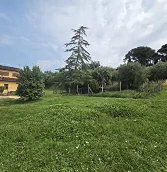 Foto annuncio 21