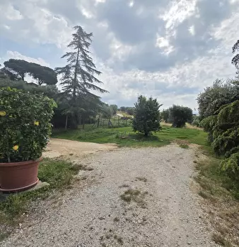 Foto annuncio 16