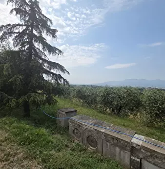 Foto annuncio 10