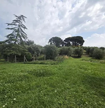 Foto annuncio 9