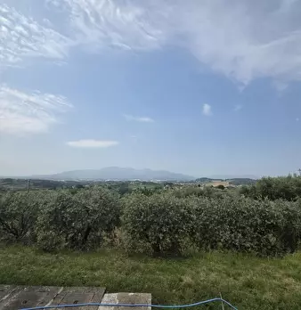 Foto annuncio 12