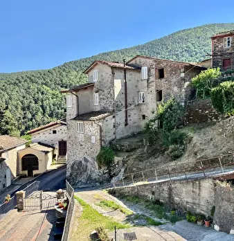 Foto annuncio 44