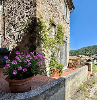 Foto annuncio 35