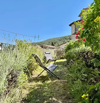 Foto annuncio 42