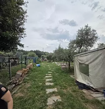 Foto annuncio 26