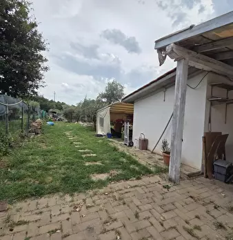 Foto annuncio 7
