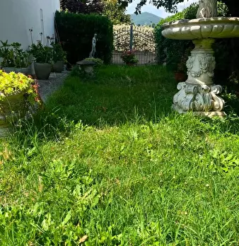 Foto annuncio 7