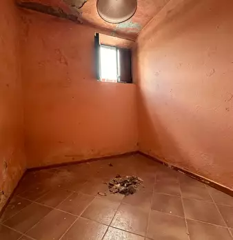 Foto annuncio 46