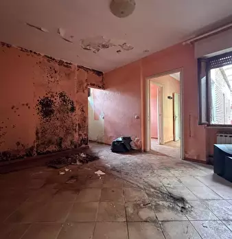 Foto annuncio 49