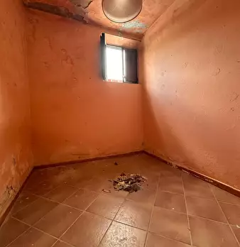 Foto annuncio 47