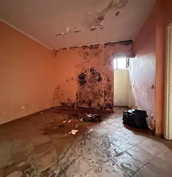 Foto annuncio 48