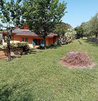 Foto annuncio 5