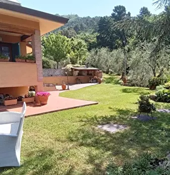 Foto annuncio 8