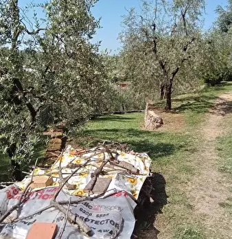 Foto annuncio 43