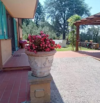 Foto annuncio 12