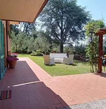 Foto annuncio 13