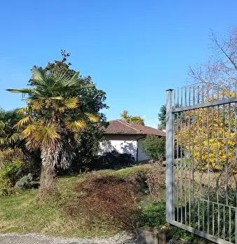 Foto annuncio 2