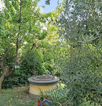 Foto annuncio 11