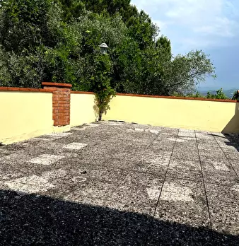 Foto annuncio 13