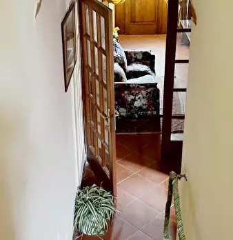 Foto annuncio 11