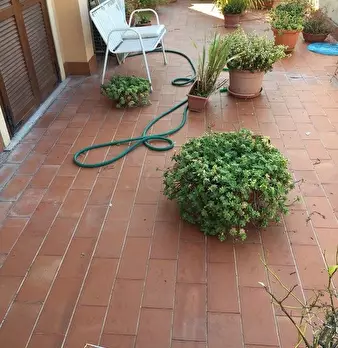 Foto annuncio 10