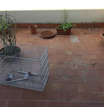 Foto annuncio 11
