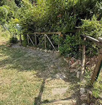 Foto annuncio 30