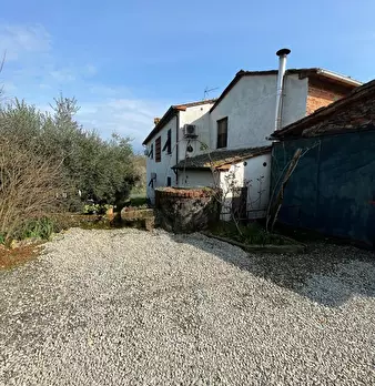 Foto annuncio 45
