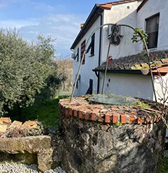 Foto annuncio 46