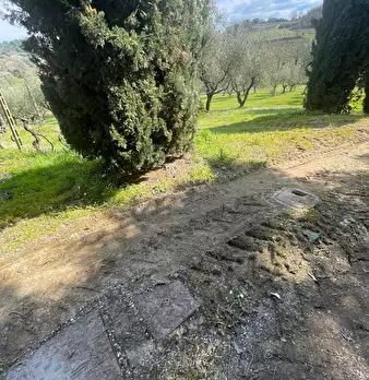 Foto annuncio 32