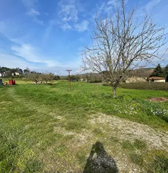Foto annuncio 50