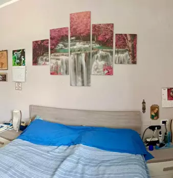 Foto annuncio 16