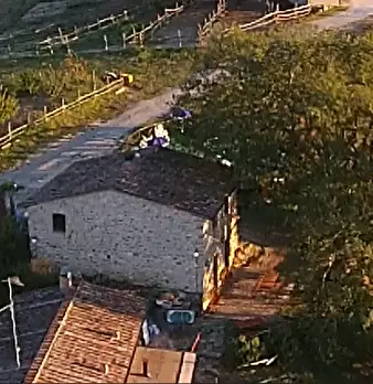 Foto annuncio 29